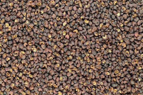 Sečuánske korenie Timut celé BIO - 100 g