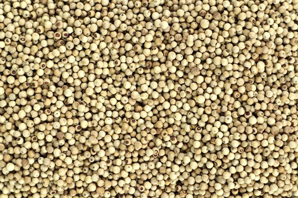 Celé biele korenie Penja - 100 g