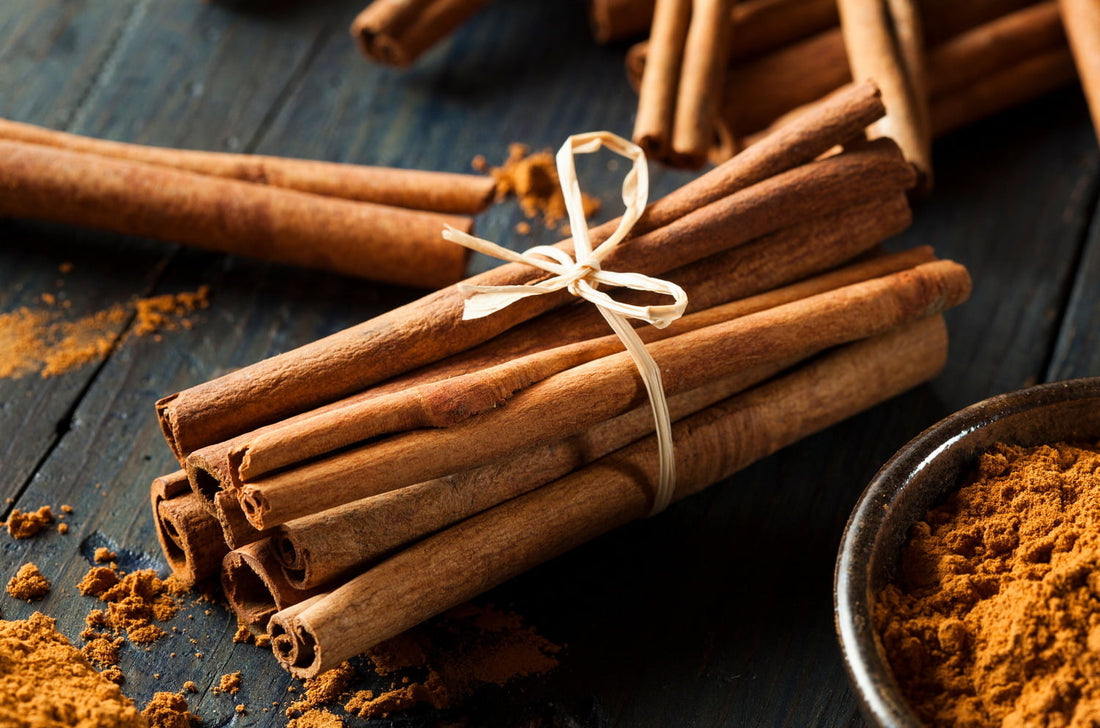 Korenie Kráľov a Kráľovien: Objavte Tajomstvo pravej Ceylónskej Škorice a Jej Neuveriteľnú Silu