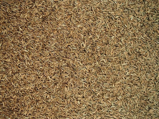 Celý český kmín - 100 g