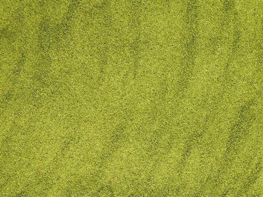 Zelená mletá paprika - 100 g