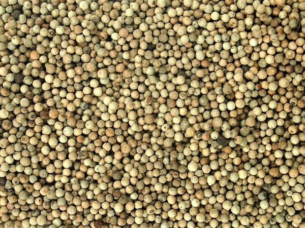 Celé bio biele korenie - 100 g