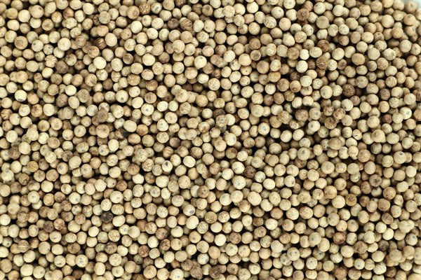 Kampot biele korenie - 100 g