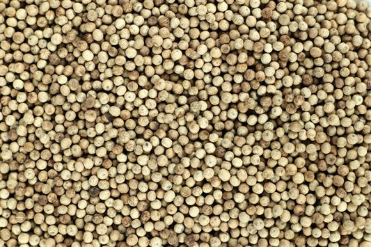 Kampot biele korenie - 100 g