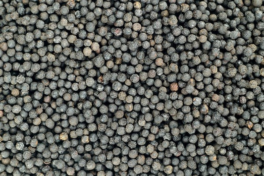 Verbena korenie - 100 g