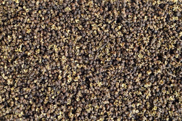 Pepper Mac Khen - 100 g